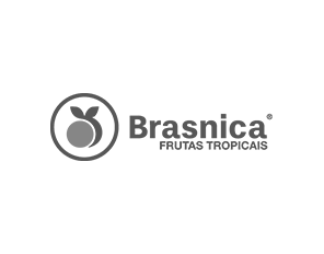 Logo Brasnica