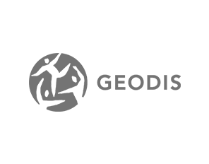 Logo GEODIS