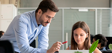 O que é estágio: O guia completo sobre programas de estágio